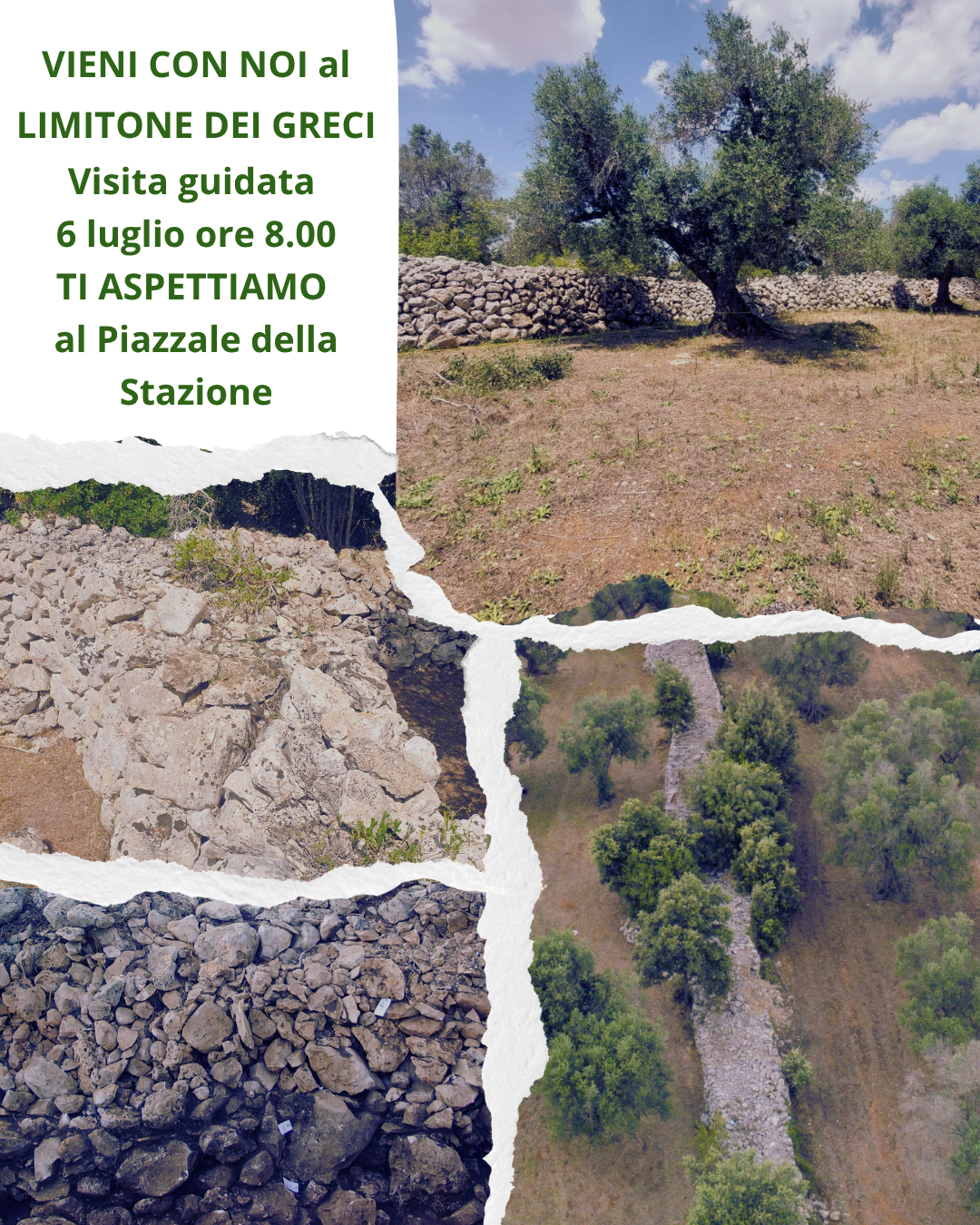 Progetto Archeoclub “Un popolo di formiche”